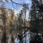 South Campground at Bass River State Forest