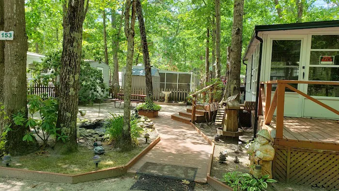 Atlantic Shore Pines Campground- Jersey Shore Camping at its finest! Picture 4