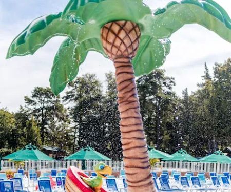 Sea Pirate Campground