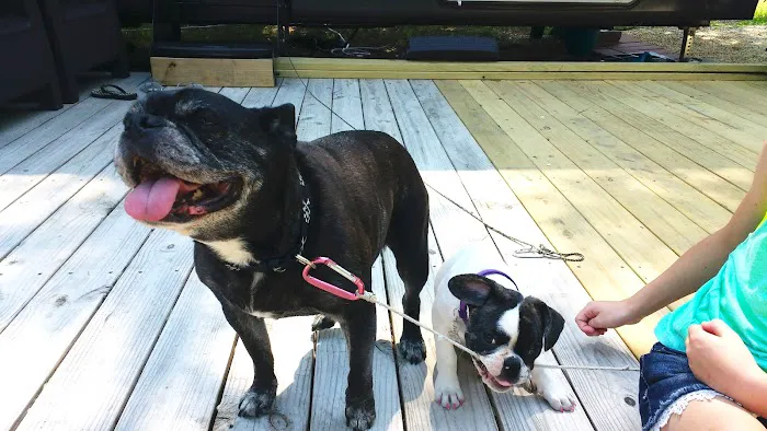 Sea Pirate Campground Picture 6