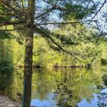 Holly Acres Campground