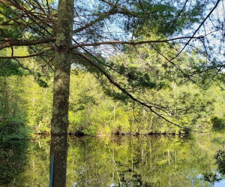 Holly Acres Campground