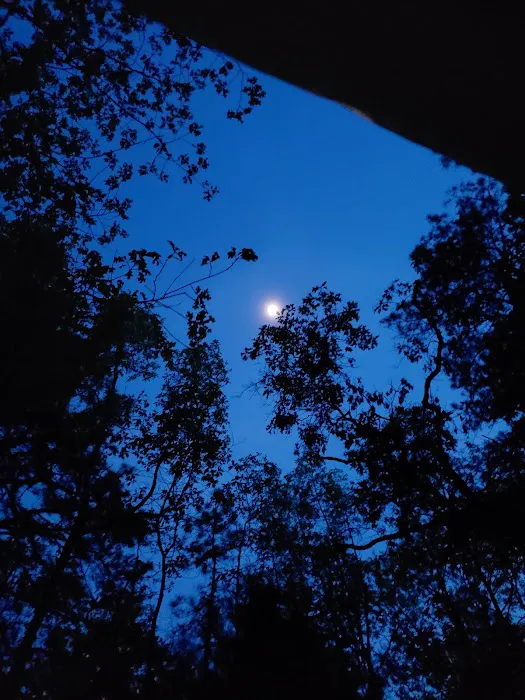 Holly Acres Campground Picture 5