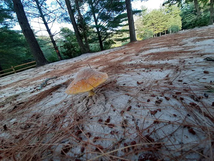 Holly Acres Campground Picture 9