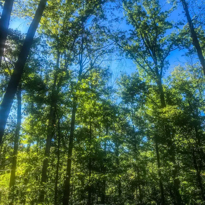 Ringing Rocks Family Campground Picture 10