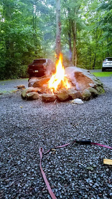 Colonial Woods Family Camping Resort Picture 4