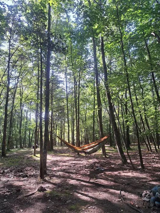 Hickory Lake Campground Picture 10