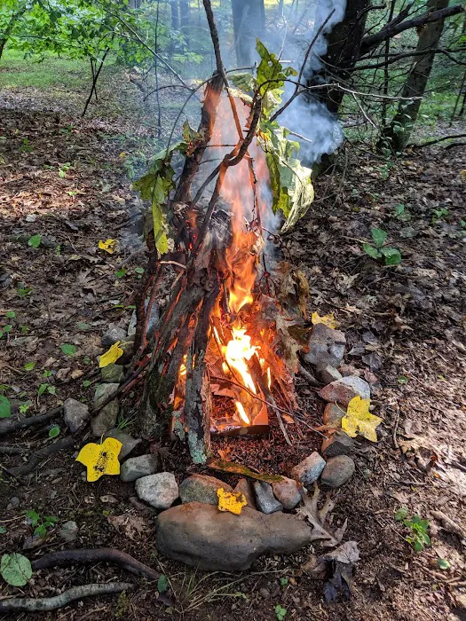 Hickory Lake Campground Picture 7