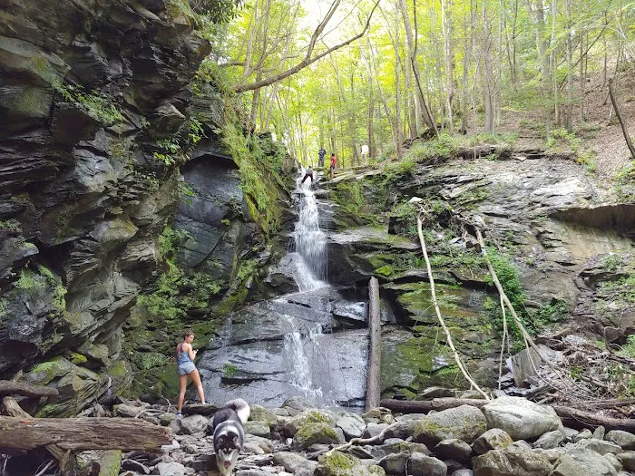 Camp Charles Campgrounds Picture 8