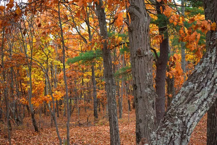 Camp Out Poconos Picture 5