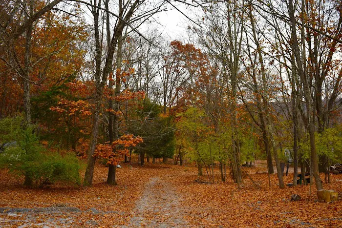 Camp Out Poconos Picture 1