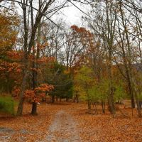 Camp Out Poconos ico