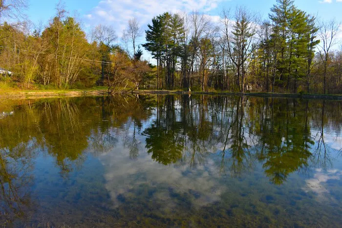 Camp Out Poconos Picture 7