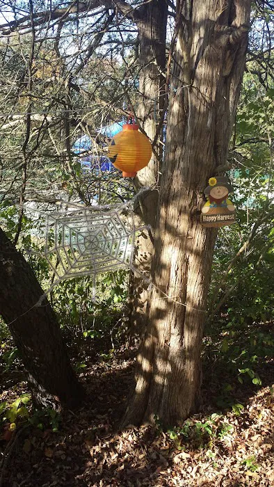 Beaver Valley Campgrounds Picture 10