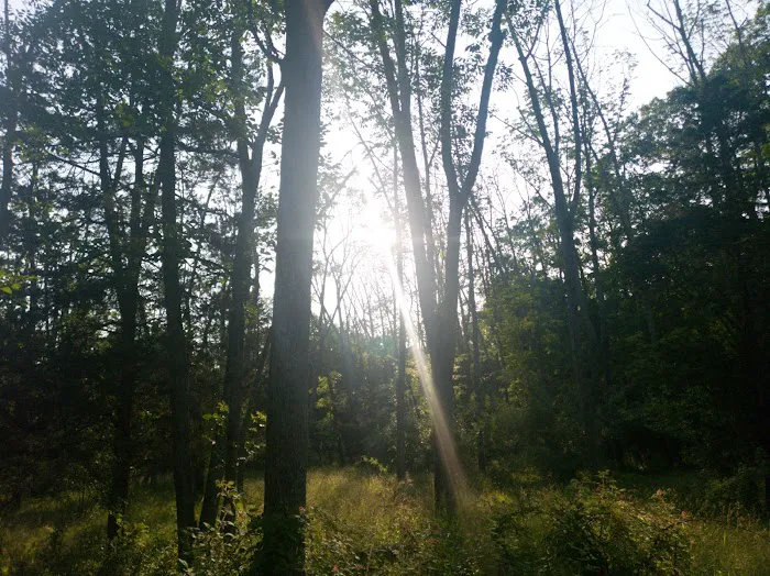 Deer Wood Campground Picture 9