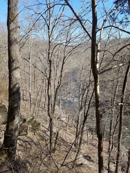 Deer Wood Campground Picture 5