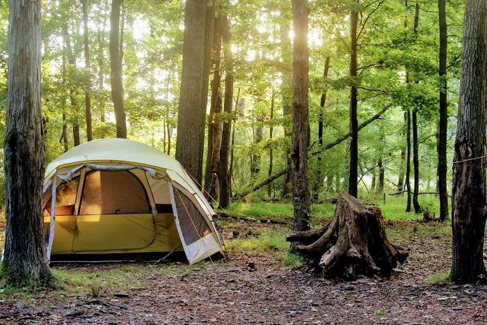 Deer Wood Campground Picture 6