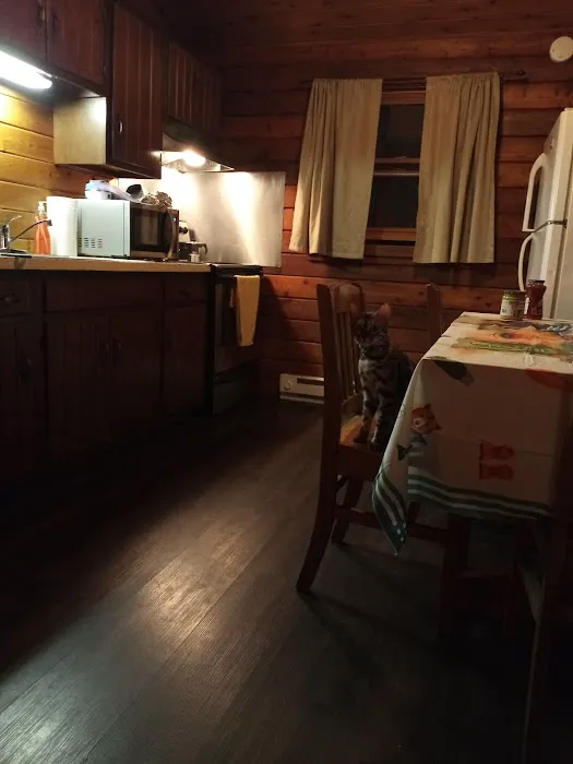 Nockamixon State Park - Cabin 8 Picture 1