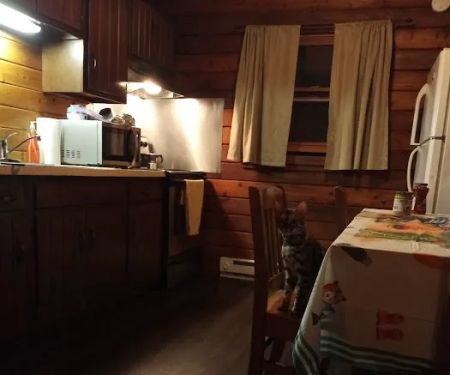 Nockamixon State Park - Cabin 8