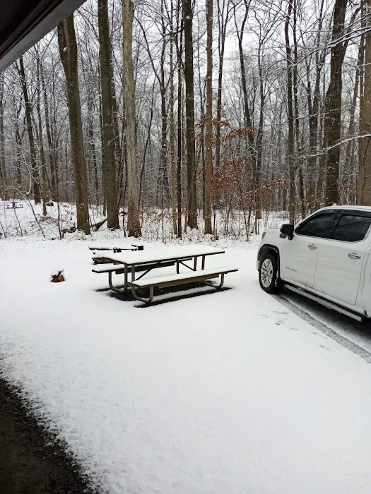 Nockamixon State Park - Cabin 8 Picture 3