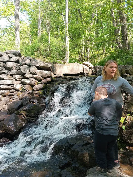 Nockamixon State Park - Cabin 8 Picture 10