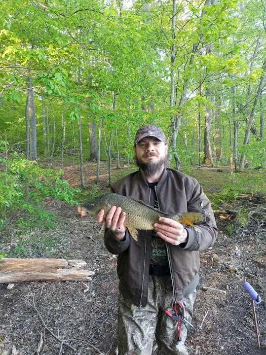 Nockamixon State Park - Cabin 8 Picture 8