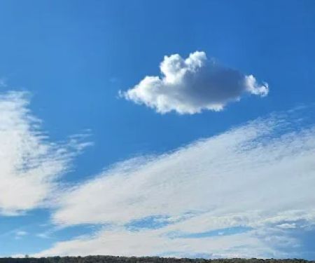 Nockamixon State Park - Cabin 4