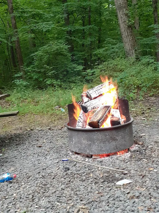 Nockamixon Cabins Picture 4