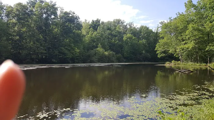 Nockamixon Cabins Picture 9