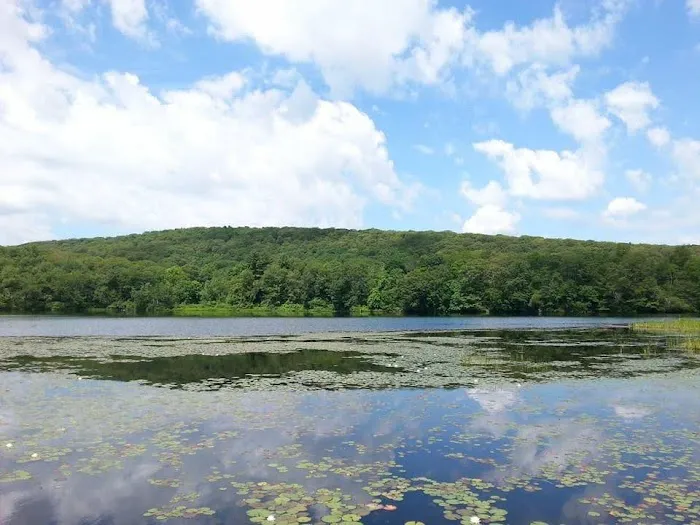 Camp Herald 角聲疊湖營 Picture 2