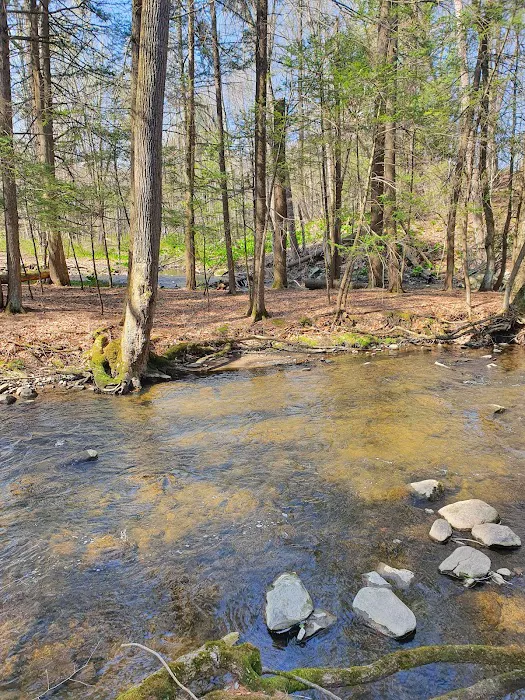 Korn's Shawangunk Kill Campground Picture 4
