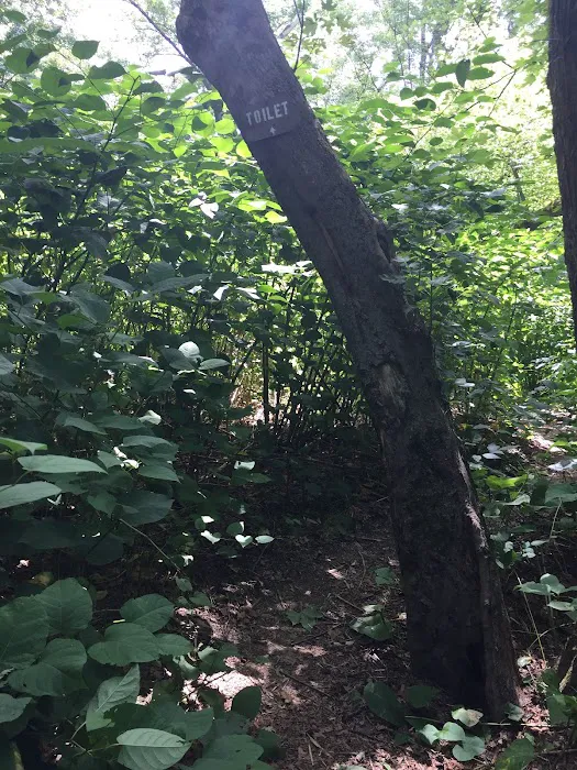 National Park Service - Mashipacong Island - Campsite # 1 Picture 2