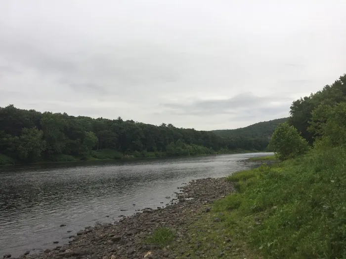 National Park Service - Mashipacong Island - Campsite # 1 Picture 4