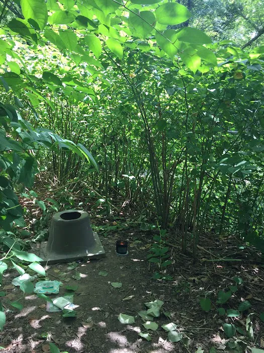 National Park Service - Mashipacong Island - Campsite # 1 Picture 5