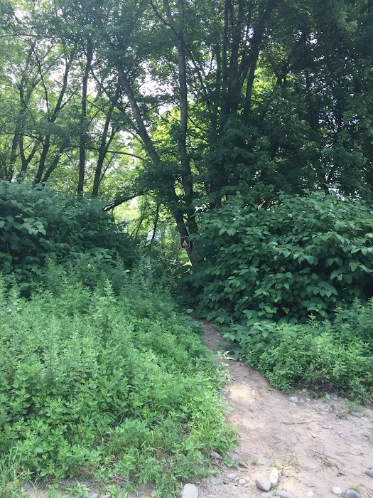 National Park Service - Mashipacong Island - Campsite # 1 Picture 10