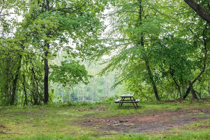 Kittatinny Canoes - River Beach Campground Picture 7
