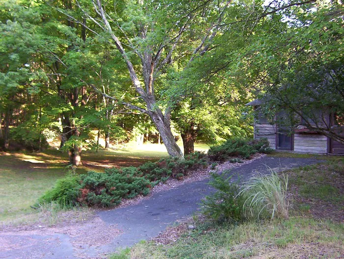 Camp Log-N-Twig Picture 10