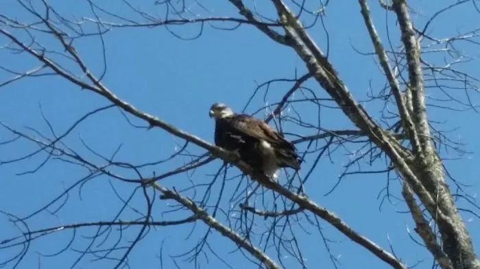 Oakland Valley Campground Picture 7