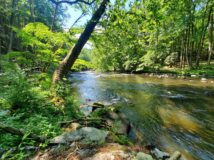 The Outpost Outdoor Resort Picture 9