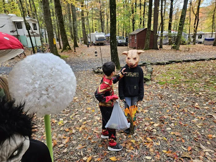 Benchmark Hideaway Campground Picture 6