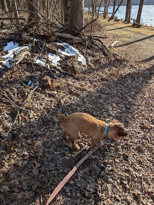 Winding Hills Park Picture 9