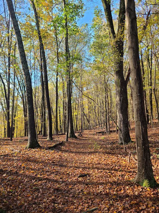 Winding Hills Park Picture 2