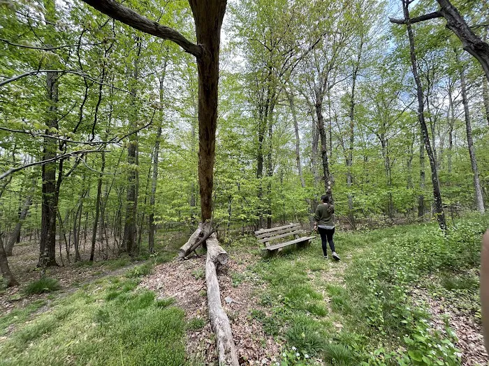 Winding Hills Park Picture 1