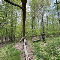 Winding Hills Park ico