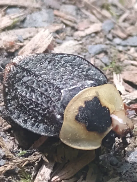 Winding Hills Park Picture 3