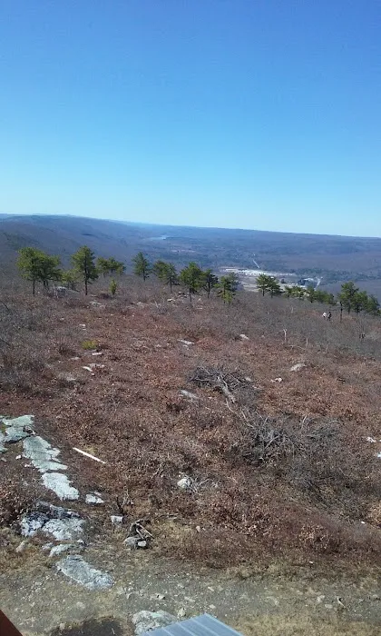 Land & Forest Department Picture 2