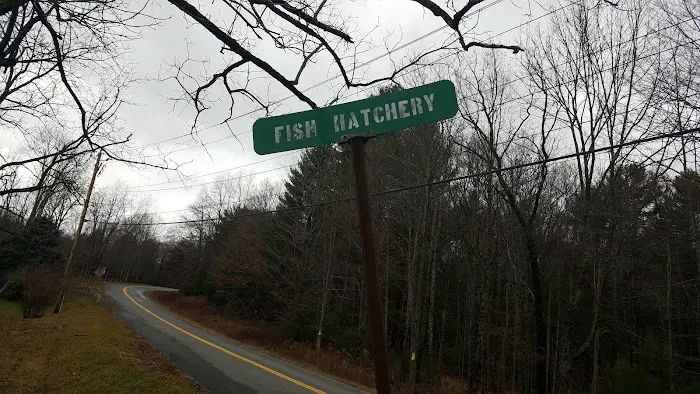 Land & Forest Department Picture 1