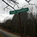 Land & Forest Department