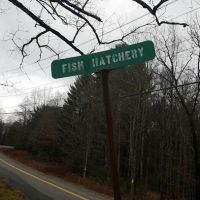 Land & Forest Department ico