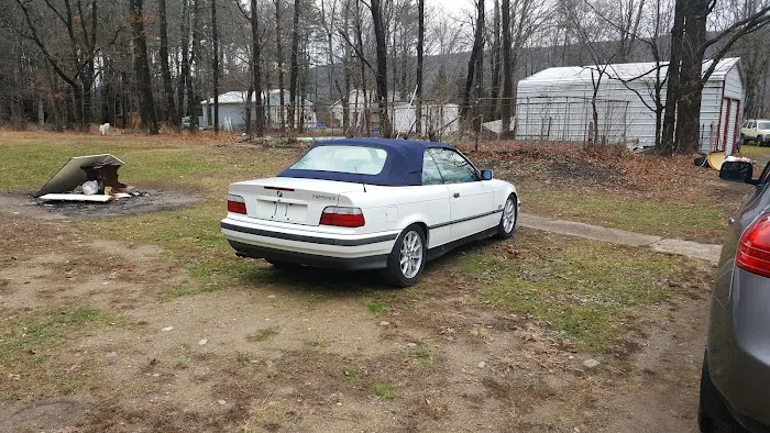 Land & Forest Department Picture 4